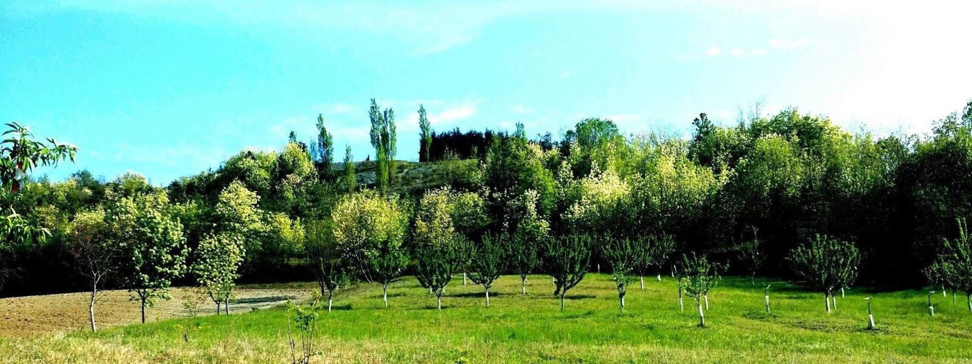 Tenuta Valdorso - Agri Resort Montechiaro D'acqui المظهر الخارجي الصورة